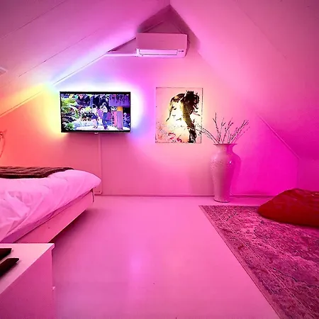 Private Art House Next To The Dunes, And Forest 4* האג