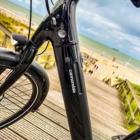 לינה וארוחת בוקר Private Art House Next To The Dunes, And Forest