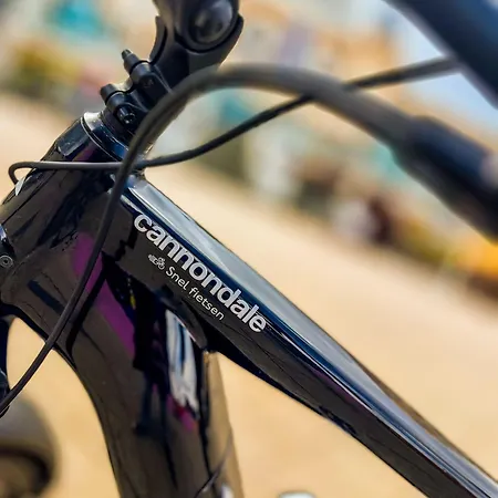 Private Art House Next To The Dunes, And Forest